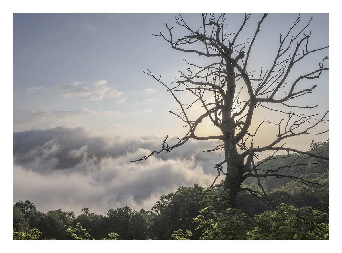 Shenandoah NP